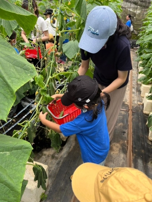 0629小小果農家族樂