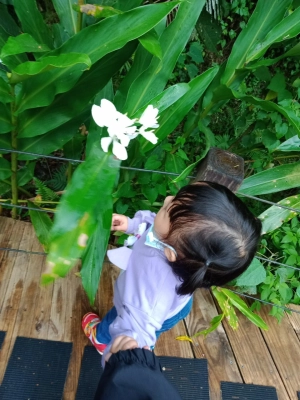 綠世界一日遊